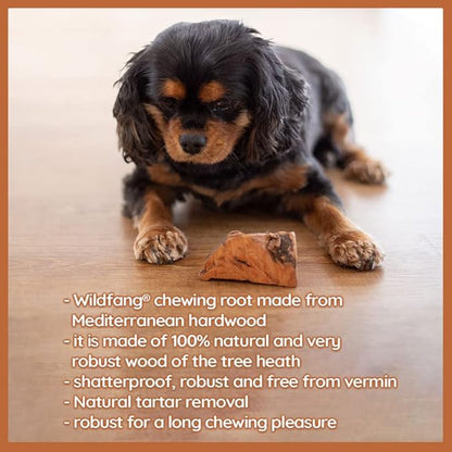 Wildfang® Briar Wood Chewing Root, Large - Splinter Free Wood Dog Chew Toys for Aggressive Chewer, Odorless Natural Teething Toys Dogs Dental Health, Healthy Gums (for Dogs 55-99 lbs), Pack of 1