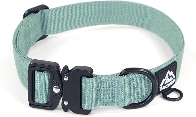 Dog Collar for Large Dogs - Adjustable, Chew Proof Nylon Collar with Metal Quick Release Buckle and D-Ring for Dog Tags (Florida Seaside, L(1''Width, Fit 14''-20''))