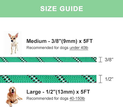 5 FT Slip Lead, Heavy Duty Rope Dog Leash for Small Medium Large Dogs, No Pull Training Lead with Reflective Thread, Strong Comfortable Loop Leash (Green Stripe, Medium(3/8"))