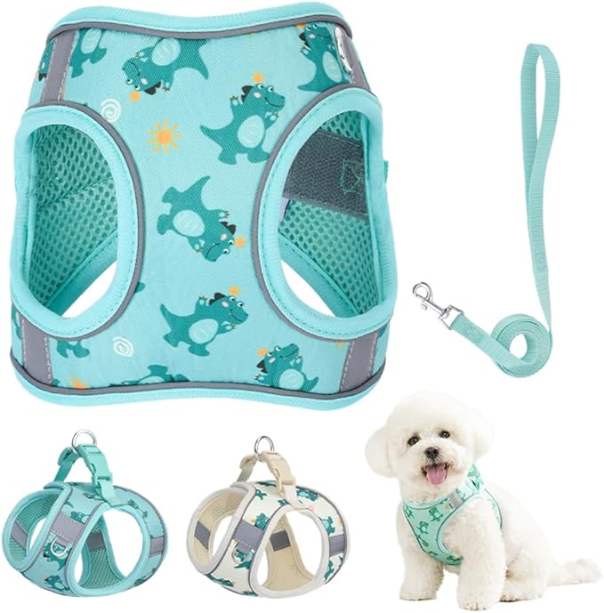 Step in Dog Harness and Leash Set, Flower Adjustable Easy Walk Puppy Harnesses, Soft Mesh No Pull Pet Vest Harness for Small Medium Dogs(Green, S)