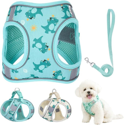 Step in Dog Harness and Leash Set, Flower Adjustable Easy Walk Puppy Harnesses, Soft Mesh No Pull Pet Vest Harness for Small Medium Dogs(Green, S)