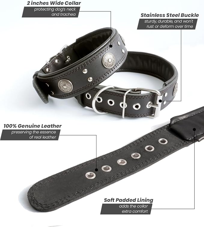 Leather Dog Collar, 2 inches Wide Heavy Duty Genuine Leather Collars, Handmade, Soft, and Luxury, Eye-catching Best Choice for Large and Medium Breed Dogs, Black 21-25 inches