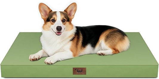Tail Stories Outdoor Orthopedic Dog Bed, Waterproof Dog Bed for Large Dogs 36x27 Inch, Egg Crate Foam Pet Mat with Washable Removable Oxford Cooling Cover, Light Green