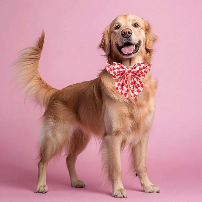 Valentines Dog Collar with Lady Bow - Cute Valentine Doodle Hearts Pink Girl Bowtie Dog Collar, Adjustable Metal Buckle Dog Collars for Small Medium Large Dogs XL