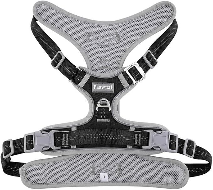 Paawpal Adjustable Dog Harness - No Pull, Reflective, Soft Padded for Small, Medium, Large Dogs - Includes Leash Black M