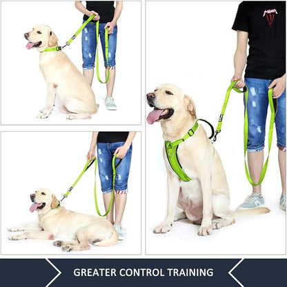 Plutus Pet Double Handle Dog Leash 6ft Long, Padded 2 Handle, Heavy Duty, Reflective Training Leash for Medium Large Dogs, Dual Handle Lead (Green)