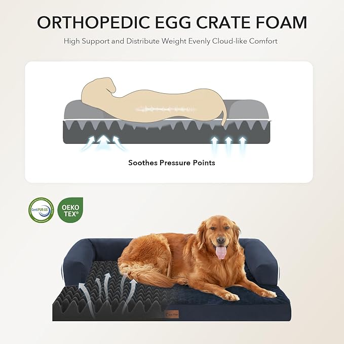 Casa Paw Orthopedic Dog Beds for Large Sized Dogs, Waterproof Egg Crate Foam Medium Dog Couch Beds for Crate 35x22Inch, Washable Pet Beds with Removable Cover and Nonskid Bottom, Navy Blue