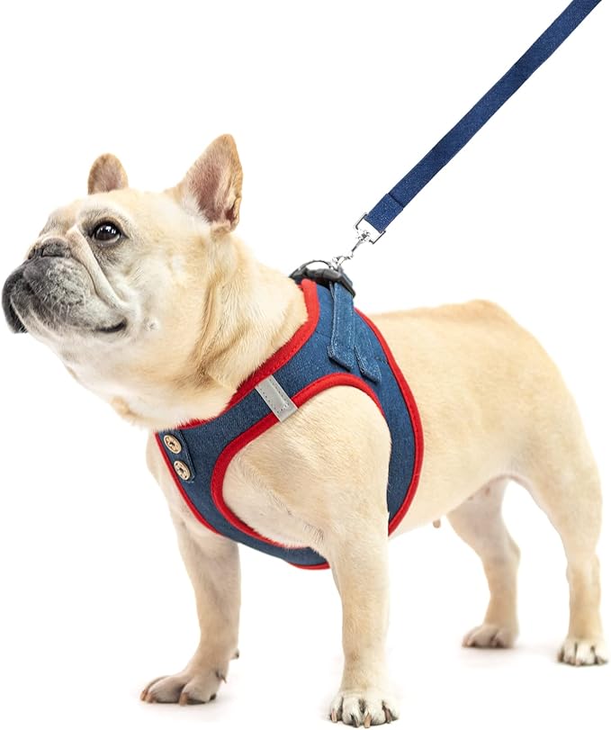 PUPTECK Dog Harness and Leash Set for Small Medium Dogs No Pull Step-in Soft Mesh Puppy Cat Vest Harnesses Reflective at Night, Denim NavyBlue L