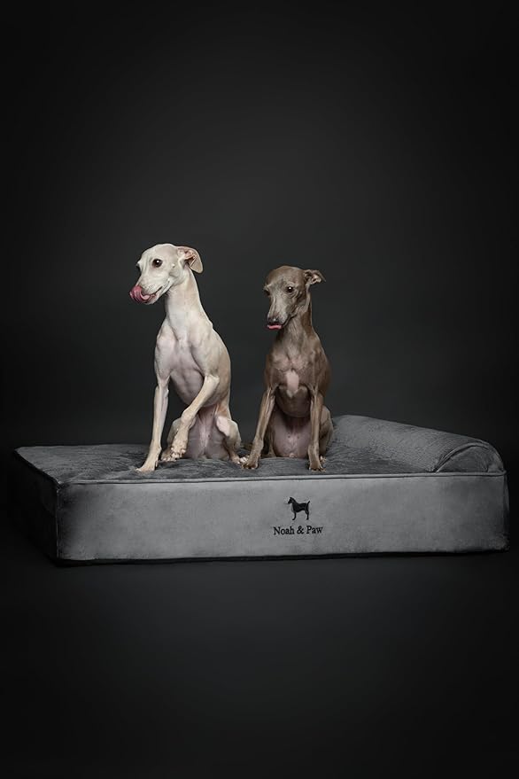 NOAH & PAW Large Dog Bed, 35x25x8.7 Inch, Orthopedic Dog Beds, Eggshell Memory Foam Infused with Cooling Gel, Waterproof, Machine Washable, Includes Inner Cover (Velvet Collection)