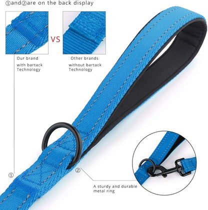 Plutus Pet Double Handle Dog Leash 5ft, Heavy Duty, Reflective Dual Handle Dog Leash for Safety Training, for Medium Large Dogs,2 Handle Leads(Blue)