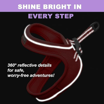 Cat Harness and Leash Set,Escape Proof Kitten Harness,Step in Adjustable Soft Lightweight,Easy Control,Reflective Strips Comfortable for Walking Travel(Red,S)