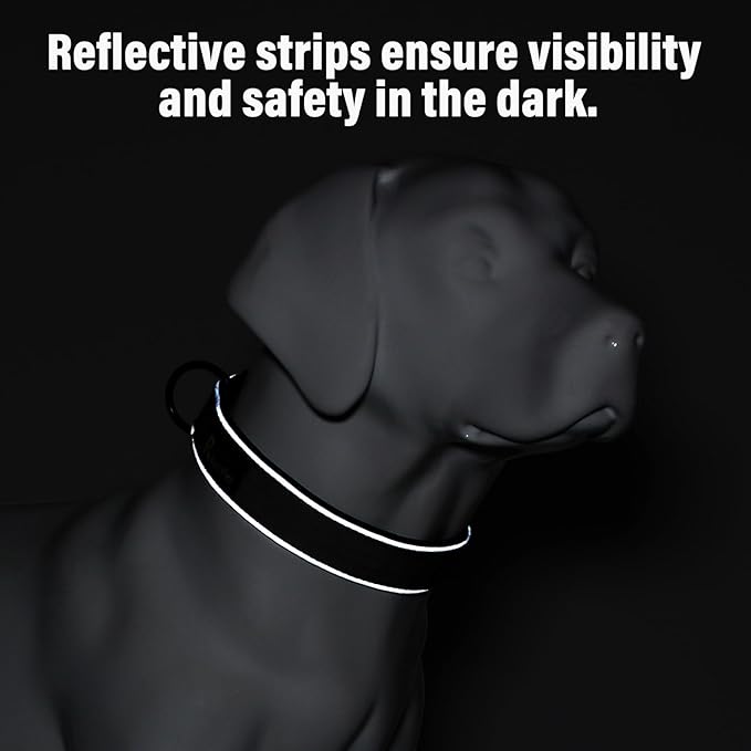 Plutus Pet Tactical Dog Collar, Reflective, Adjustable Heavy Duty Dog Collar, Soft Padded and Comfortable, for Small Medium and Large Dogs (Ranger Green, S)