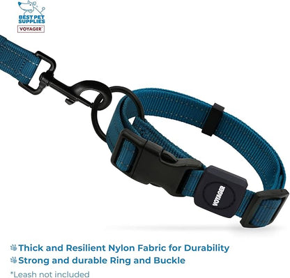Best Pet Supplies Voyager Reflective Dog Leash or Collar with Neoprene Handle, for Small, Medium, and Large Breed Puppies, Cute and Heavy Duty for Walking, Running and Training - Blue, L