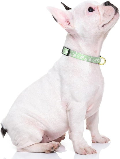 Rnivvi Dog Collar for Small Dogs, Cute Floral Heavy Duty Adjustable Puppy Collar with Quick Release Buckle for Girl & Female, Pet Accessories for Walking Running, S Length 3/4" Width, Green