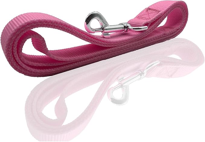Nylon Dog Leash 12 Feet Long, Walking Training Dog Leashes for Medium Large Dogs(1" X 12 ft, Pink)
