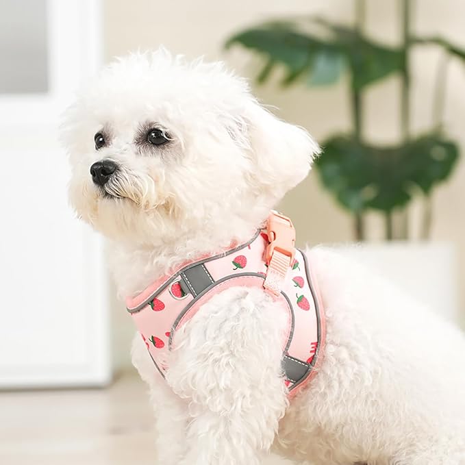 Step in Dog Harness and Leash Set, Flower Adjustable Easy Walk Puppy Harnesses, Soft Mesh No Pull Pet Vest Harness for Small Dogs and Cats(Strawberry, XS)