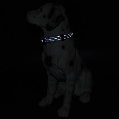 Mile High Life Dog Collar | Nylon Reflective Dog Collars | Light Weight Puppy Collars | Dark Blue Dog Collars for Medium Dogs (Dark Blue, Medium)
