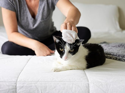 Cat All Purpose Pet WiPees™ – 100 Daily Cat Bath Wipes, All Natural Cat Wipes for Ears, Fur & Folds, Gentle Pet Wipes for Cats, pH-Balanced to Cats Specific Skin & Biome (Natural, 100ct)