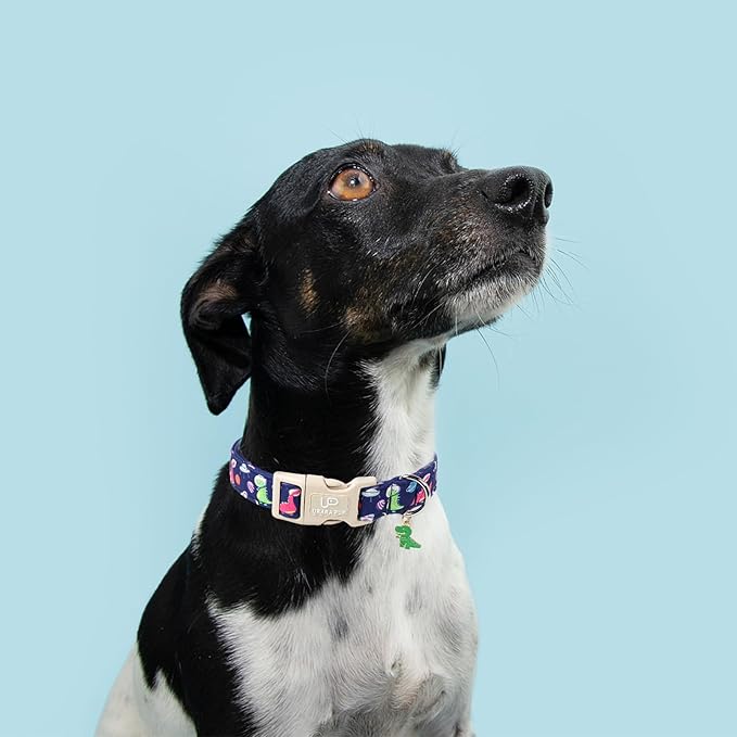 UP URARA PUP Summer Dog Collar-Dinosaur Dog Collars with Planet-Cute Blue Summer Pet Dollar-Soft, Adjustable & Stylish for Small/Medium Dogs