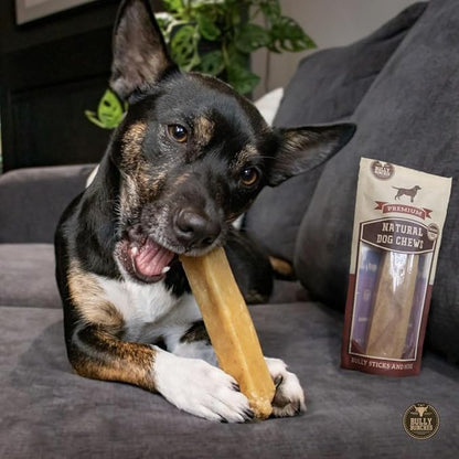 Bully Bunches Medium Authentic Yak Cheese Himalayan Chews for Medium & Small Dogs - All Natural Dog Treat Dental Chews, Made with Real Yak Milk - Lactose & Rawhide Free (2 Pk)