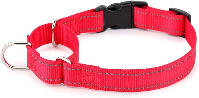 PLUTUS PET Reflective Martingale Collar with Quick Snap Buckle,No Pull Dog Choker Collar for Small Medium Large Dogs,XS,Red
