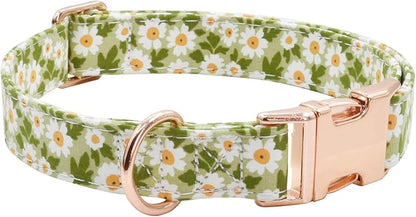 Metal Buckle Dog Collar, Durable Adjustable Dog Collar Soft for Small Medium Large Dogs (003-Green Flower, M(13-18in)