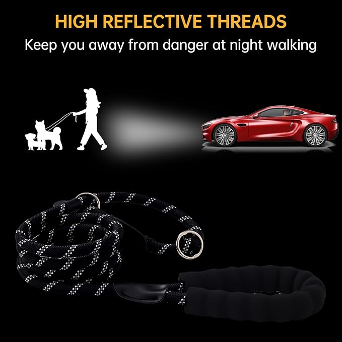 Slip Leads Dog Leash - 4/5/6/8/10 FT Heavy Duty Training Leashes - Reflective & Comfortable Handle for Small Medium Large Dogs (1/2''- 10FT, Blue)