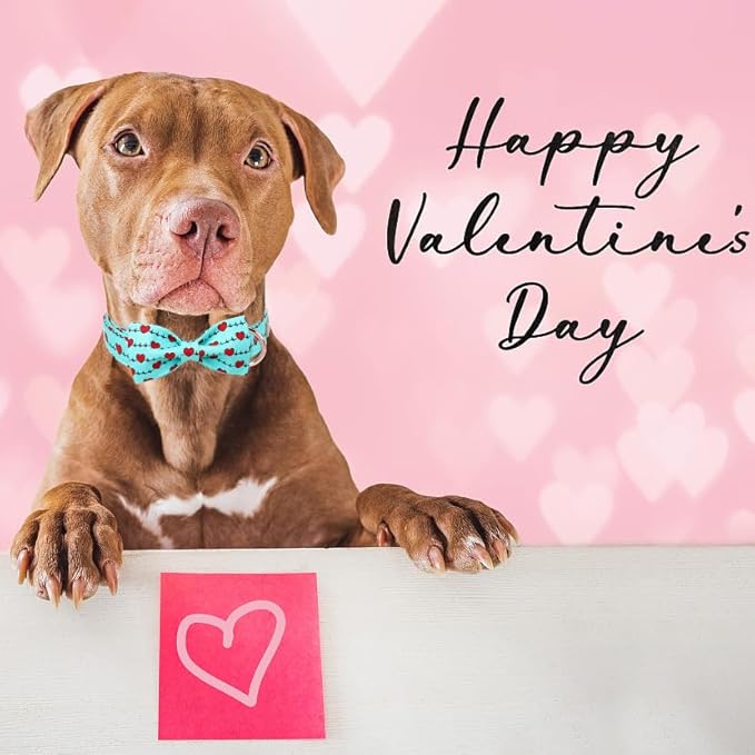 Valentines Dog Collar with Bow Tie,Green Love Heart Signal Valentine Dog Collars with Safety Metal Buckle Adjustable Puppy Collars for Small Medium Large Boy & Girl Dogs XS