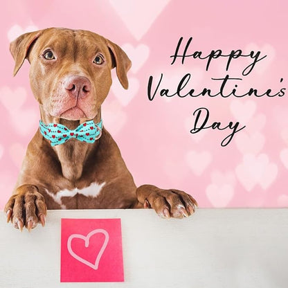 Valentines Dog Collar with Bow Tie,Green Love Heart Signal Valentine Dog Collars with Safety Metal Buckle Adjustable Puppy Collars for Small Medium Large Boy & Girl Dogs XS