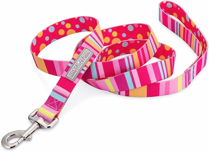 Lucky Love Dog Leash - Colorful Stripes, Yellow, Pink, Blue - Cute Female Dog Leash (Large, Molly)