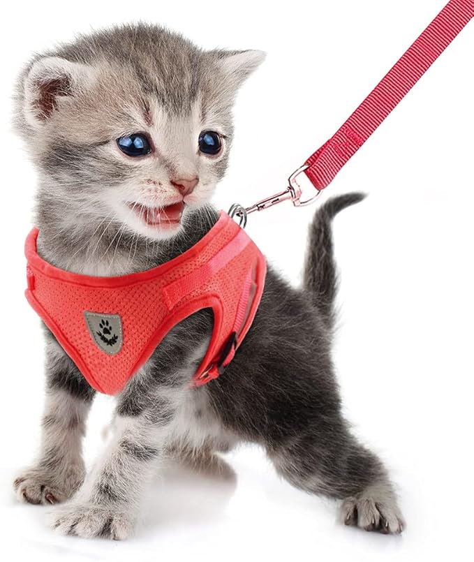 FEimaX Dog Harness and Leash Set for Walking, Soft Mesh Adjustable Easy Control Lightweight Cat Vest Harnesses with Reflective Strips, Escape Proof Small Dogs Cats Vests (Red, X-Large)