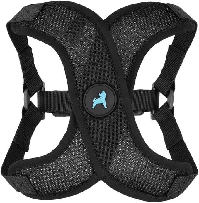 Gooby Comfort X Step in Lite Dog Harness - Choke Free, Escape Free with Light Breathable Mesh - Step in Dog Harness for Small Dogs Only - Quick Release Buckle, Metal D-Rings - Black, X-Large