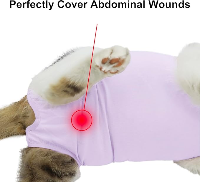 QIYADIN Cat Recovery Suit, Surgical Recovery Clothes for Abdominal Wound or Skin Disease, Cats Onesie After Surgery and Spay, E-Collar Alternative Pajama Suit (Purple, Small)