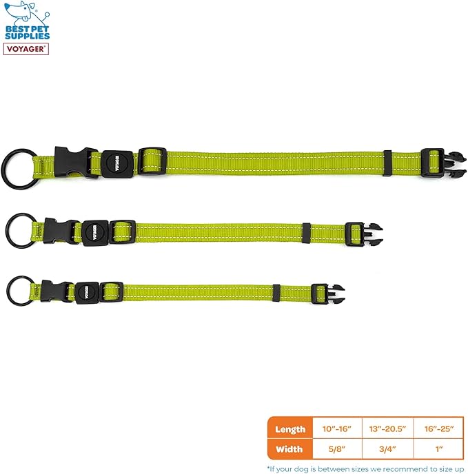 Best Pet Supplies Voyager Reflective Dog Leash or Collar with Neoprene Handle, for Small, Medium, and Large Breed Puppies, Cute and Heavy Duty for Walking, Running and Training - Lime Green, L