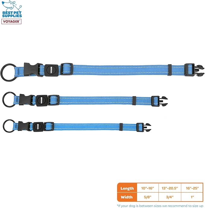 Best Pet Supplies Voyager Reflective Dog Leash or Collar with Neoprene Handle, for Small, Medium, and Large Breed Puppies, Cute and Heavy Duty for Walking, Running and Training - Baby Blue, M