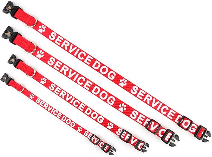 Plutus Pet Service Dog Collar,Printed in Large Letters on Nylon Webbing,Prevents Accidents by Warning Others of Your Dog in Advance,Two Colors,Four Sizes,Neck 10-16 inch,Small,Red