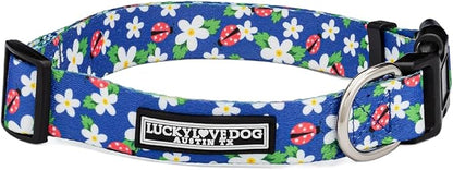 Lucky Love Dog - Adjustable Dog Collar with Easy Click Buckle for Large Ones, Durable, & Comfortable for Male & Female Dogs, Pet Collar for Puppies & Adult Dogs - Lilian, Large