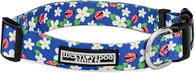 Lucky Love Dog - Adjustable Dog Collar with Easy Click Buckle for Small Ones, Durable, & Comfortable for Male & Female Dogs, Pet Collar for Puppies & Adult Dogs - Lilian, XS