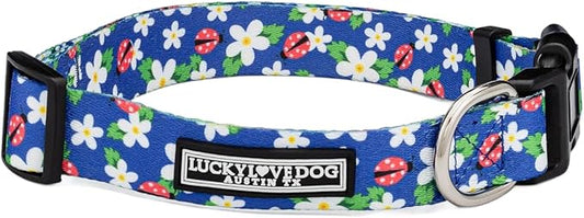 Lucky Love Dog - Adjustable Dog Collar with Easy Click Buckle for Small Dogs, Durable, & Comfortable for Male & Female Dogs, Pet Collar for Puppies & Adult Dogs - Lilian, Small