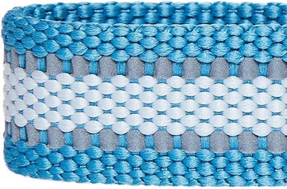 Blueberry Pet Essentials Matching Small Dog Collar | Adjustable Classic Solid Color Nylon Dog Collars for Small Dogs | Reflective Sky Blue Dog Collar for Small Dogs