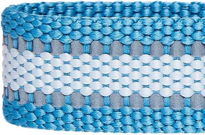 Blueberry Pet Essentials Matching Large Dog Collar | Adjustable Classic Solid Color Nylon Dog Collars for Large Dogs | Reflective Sky Blue Dog Collar for Large Dogs