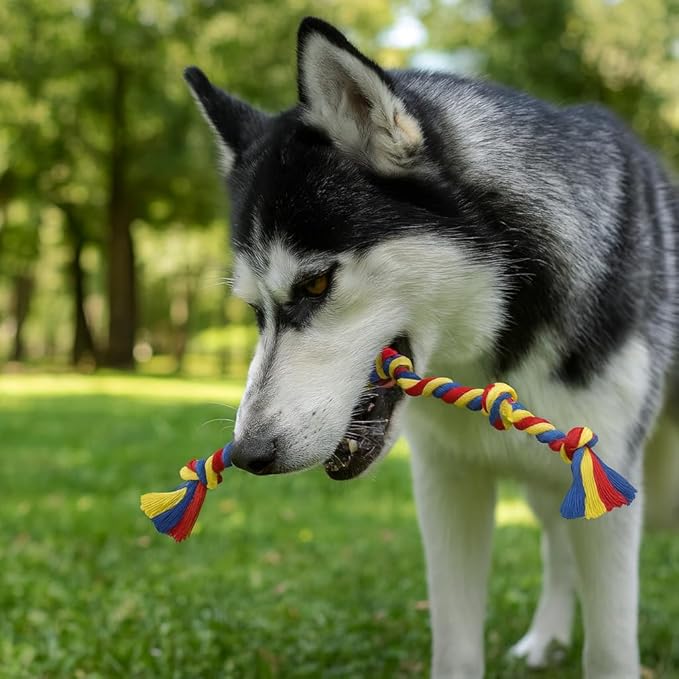 PAWPOURRI Dog Rope Toys for Medium and Large Dogs | Strong Cotton Rope Set for Chewing, Teething Comfort, Tug Play and Daily Interactive Activities | (2 pcs Dog Toys Combo)