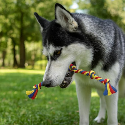 PAWPOURRI Dog Rope Toys for Medium and Large Dogs | Strong Cotton Rope Set for Chewing, Teething Comfort, Tug Play and Daily Interactive Activities | (2 pcs Dog Toys Combo)