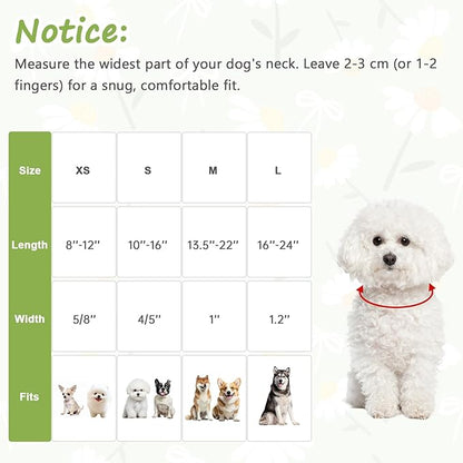 Dog Collar with Daisy Patterns, Spring Summer Collection Green Dog Collar with Exquisite Pendant, Durable Adjustable Collars for Gifts & Daily Use-M