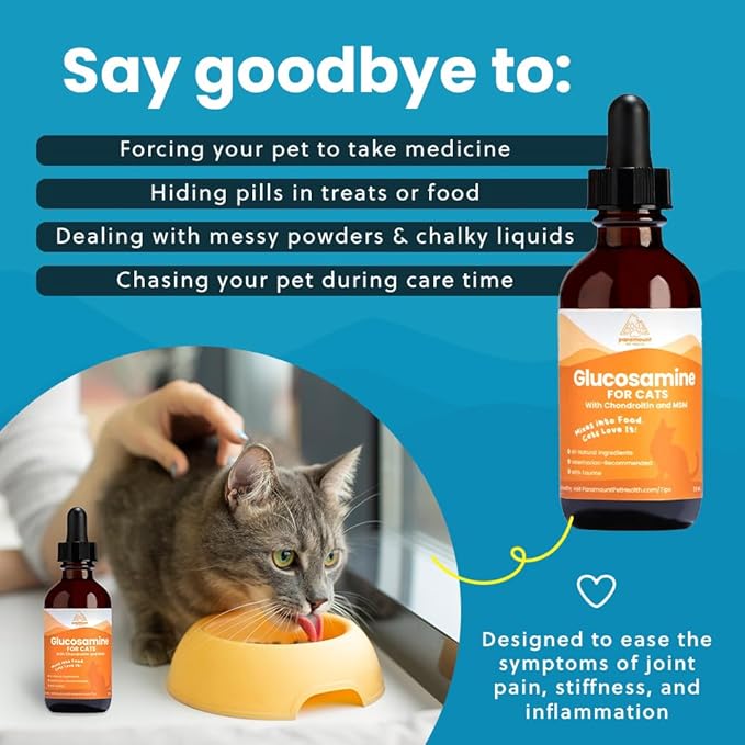 Liquid Glucosamine Chondroitin MSM for Cats, Hip & Joint Support Supplement, Helps Maintain Mobility and Flexibility, Senior Cat Glucosamine Drops for Daily Joint Care, 2oz