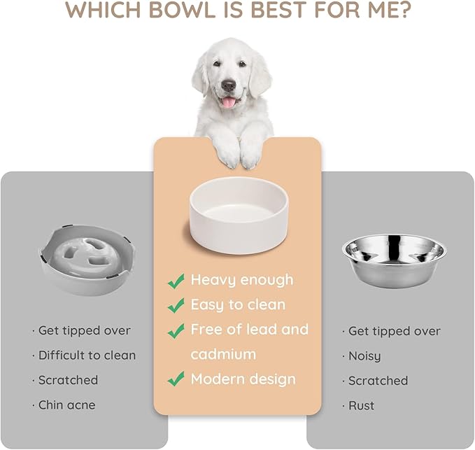 SPUNKYJUNKY 13.5OZ Ceramic Dog and Cat Bowl, Modern Cute Weighted Food Water Bowl for Replacement White (2 Pack)