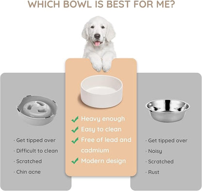 SPUNKYJUNKY 13.5OZ Ceramic Dog and Cat Bowl, Modern Cute Weighted Food Water Bowl for Replacement White (2 Pack)