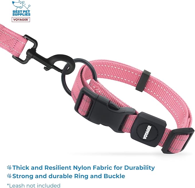 Best Pet Supplies Voyager Reflective Dog Leash or Collar with Neoprene Handle, for Small, Medium, and Large Breed Puppies, Cute and Heavy Duty for Walking, Running and Training - Pink, M