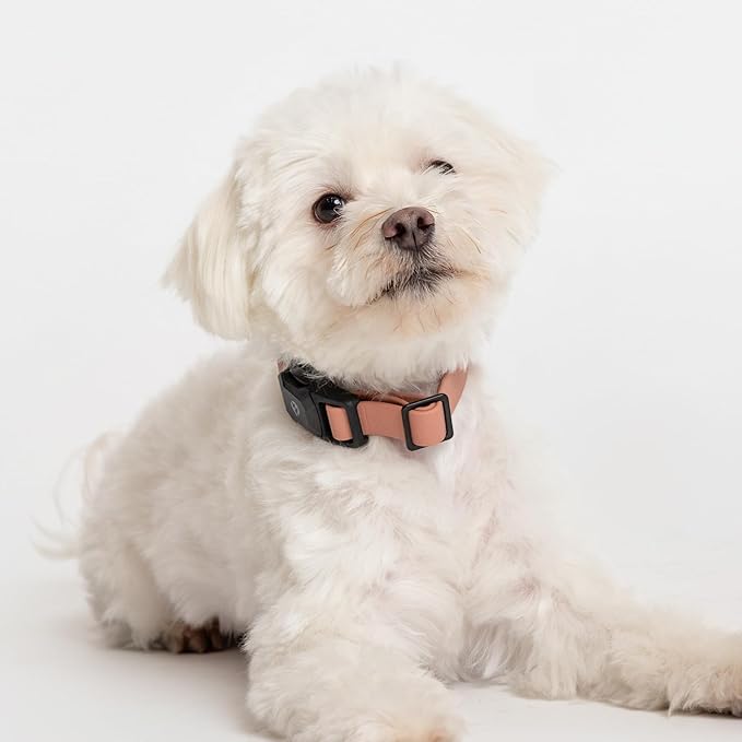 2026 New Edition, Fei & Eve PVC MagEase Dog Collar - Patented Magnetic Buckles | Quick-Release | 450LB Escape-Proof | Fur-Safe | Adjustable Fit | Small Blush