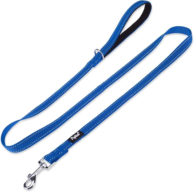 PUPTECK Reflective Dog Leash with Comfortable Padded Handle Durable Nylon Dog Lead for Small Medium and Large Dogs Cats Walking Running Training Outside, Blue